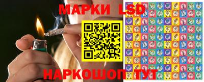 СК Донской