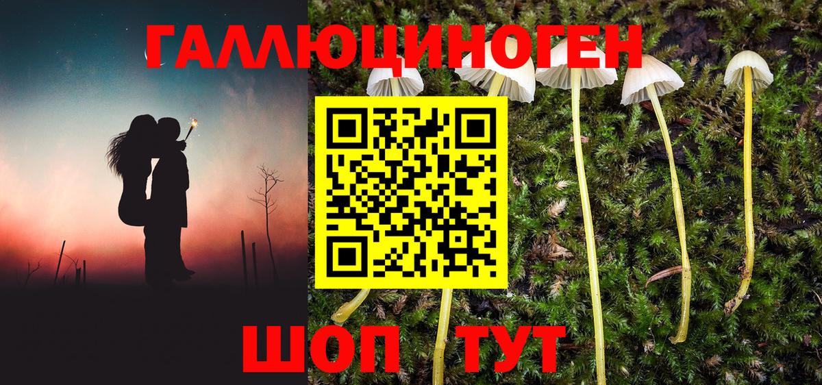 Тобольск  Псилоцибиновые грибы Cubensis  Вход с VPN  Псилоцибиновые грибы мухоморы 