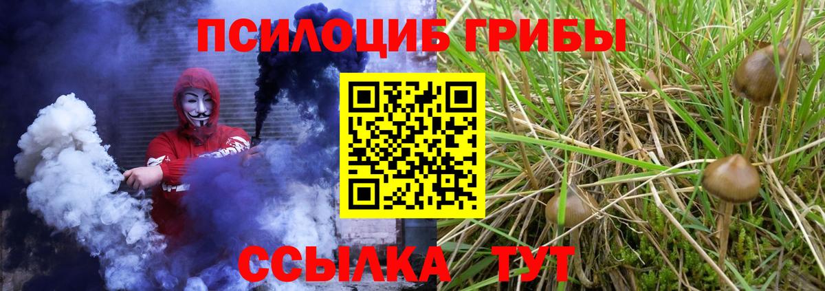 Псилоцибиновые грибы Cubensis Тобольск
